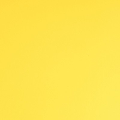 E3116B - Jaune Clair Brillant 2